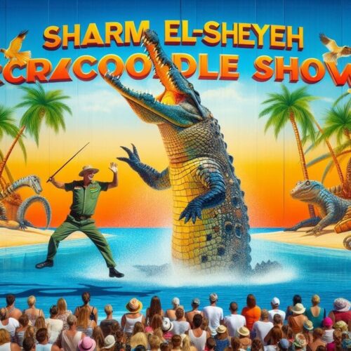 Шоу крокодилов в Шарм-Эль-Шейхе - ШАРМ-ЭЛЬ-ШЕЙХ